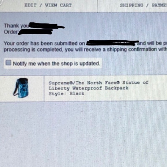 🆕Supreme • North Face Statue of Liberty Backpack - Picture 5 of 5